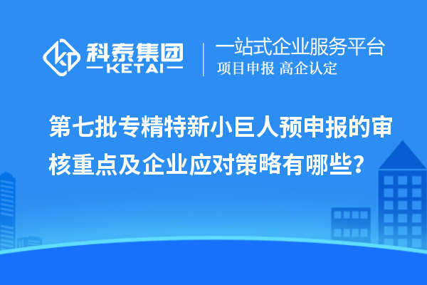 第七批專精特新小巨人預申報的審核重點及企業應對策略有哪些？