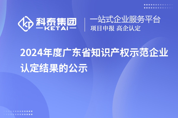 2024年度廣東省知識產權示范企業認定結果的公示