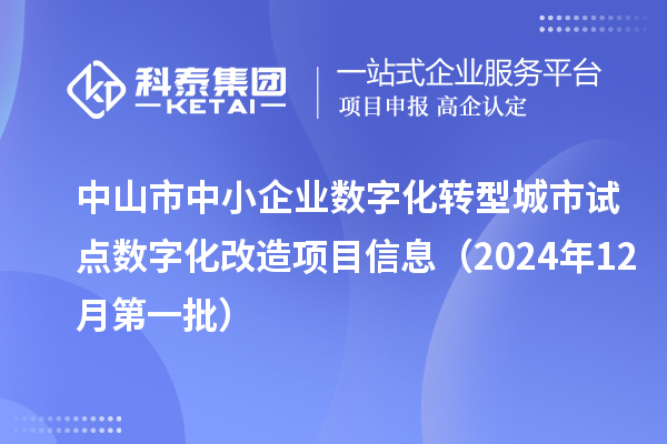 中山市中小企業數字化轉型城市試點數字化改造項目信息（2024年12月第一批）