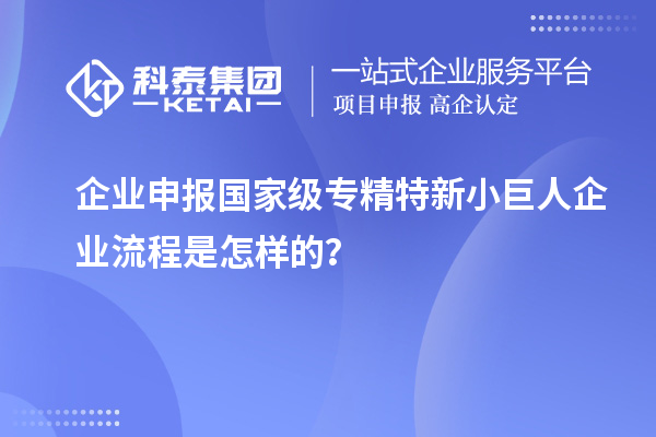 企業申報國家級專精特新小巨人企業流程是怎樣的？