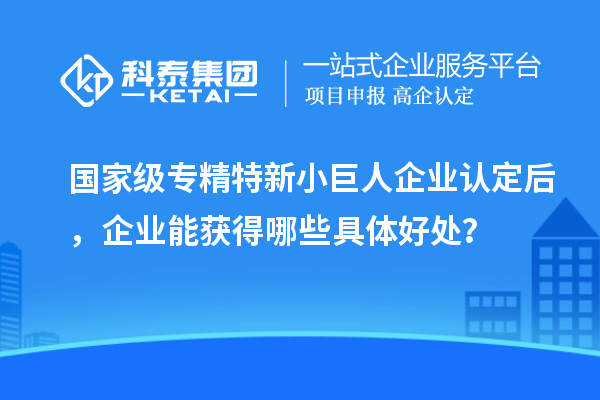 國家級專精特新小巨人企業認定后，企業能獲得哪些具體好處？