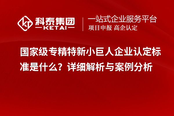 國家級專精特新小巨人企業(yè)認(rèn)定標(biāo)準(zhǔn)是什么？詳細(xì)解析與案例分析