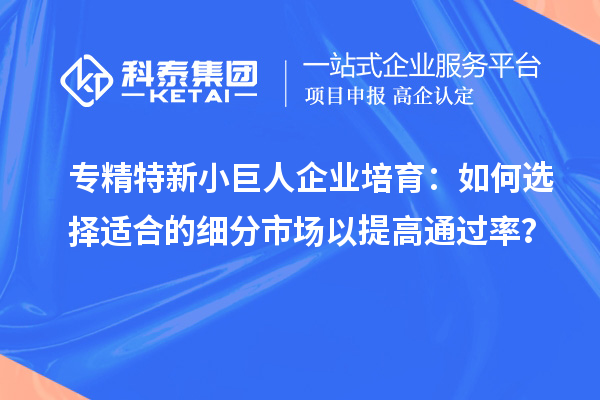 專精特新小巨人企業(yè)培育：如何選擇適合的細(xì)分市場以提高通過率？