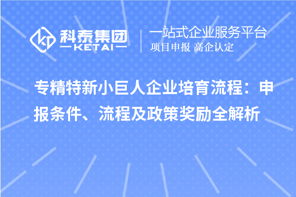 專精特新小巨人企業培育流程：申報條件、流程及政策獎勵全解析