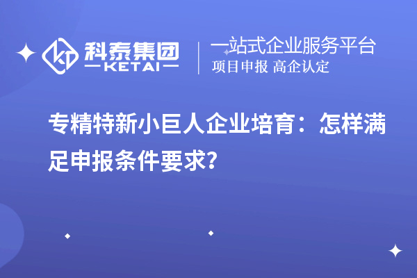 專精特新小巨人企業(yè)培育：怎樣滿足申報(bào)條件要求？