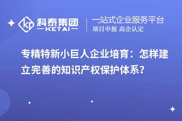 專精特新小巨人企業培育：怎樣建立完善的知識產權保護體系？