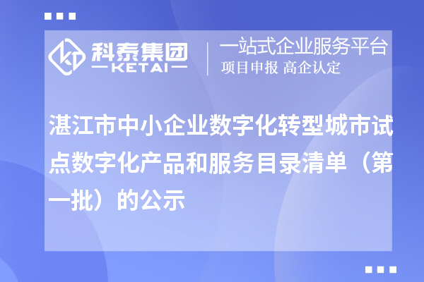 湛江市中小企業數字化轉型城市試點數字化產品和服務目錄清單（第一批）的公示