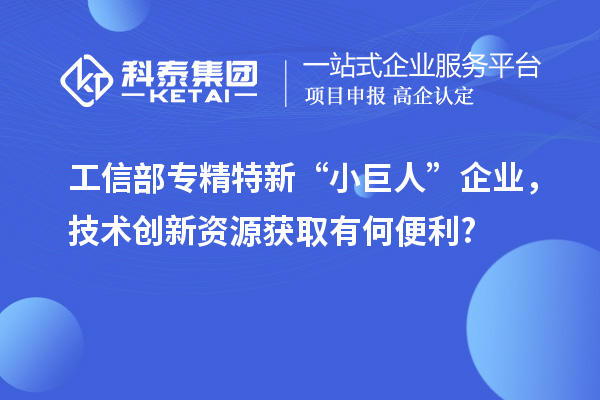 工信部專精特新 “小巨人” 企業，技術創新資源獲取有何便利?