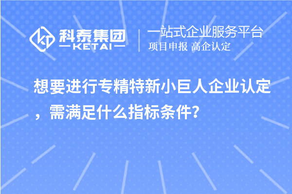 想要進行專精特新小巨人企業認定，需滿足什么指標條件？