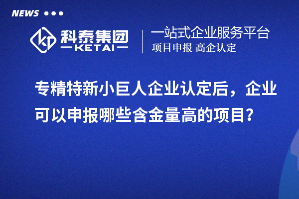 專精特新小巨人企業認定后，企業可以申報哪些含金量高的項目？