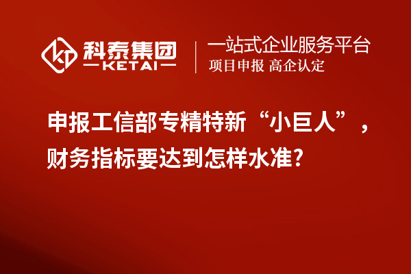 申報工信部專精特新 “小巨人”，財務指標要達到怎樣水準?