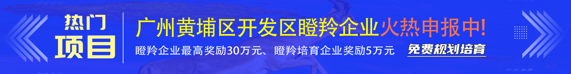 瞪羚企業培育認定