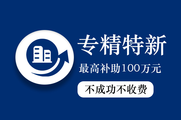 專精特新小巨人企業認定